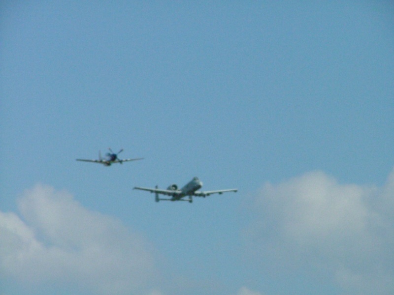 P-51 and A-10